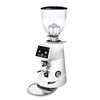 Fiorenzato F64 E Кофемолка профессиональная белая, фото 