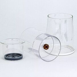 AnyBar Baro Cold Brew Завариватель 600 мл, фото , изображение 6