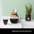 Bodum 11571-01S Pour Over Пуровер с постоянным фильтром черный, фото , изображение 6