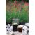 Toddy Artisan Кофеварка для холодного заваривания 500 мл, фото , изображение 6