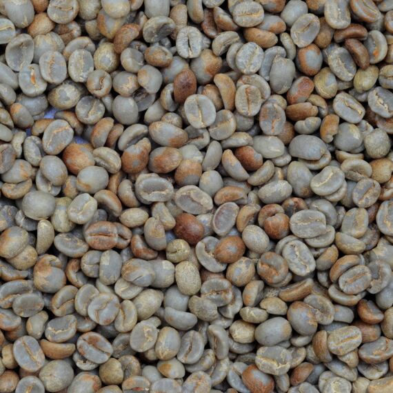 Моносорт №17 "Бразилия Можиана + Серрадо", фото , изображение 2