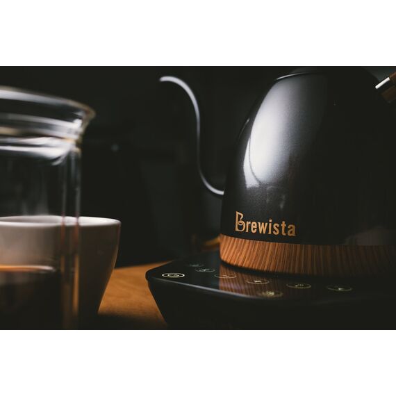 Brewista Artisan Электрочайник с контролем температуры 0.6 л серый, фото , изображение 8