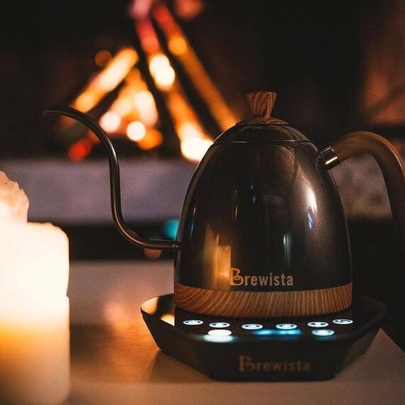 Brewista Artisan Электрочайник с контролем температуры 0.6 л серый, фото , изображение 9