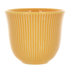 Loveramics Embossed Tasting Cup Чашка 250 мл желтая, фото 